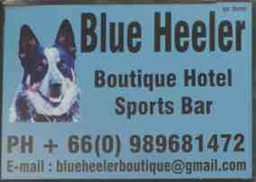 blue heeler