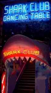 Shark Club steps