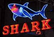 Shark A-GoGo neon